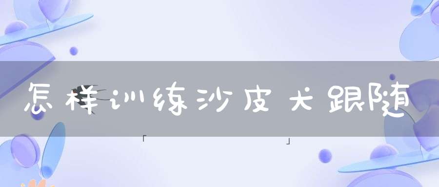 怎样训练沙皮犬跟随