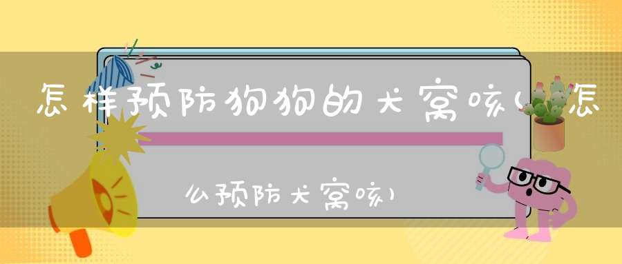 怎样预防狗狗的犬窝咳(怎么预防犬窝咳)