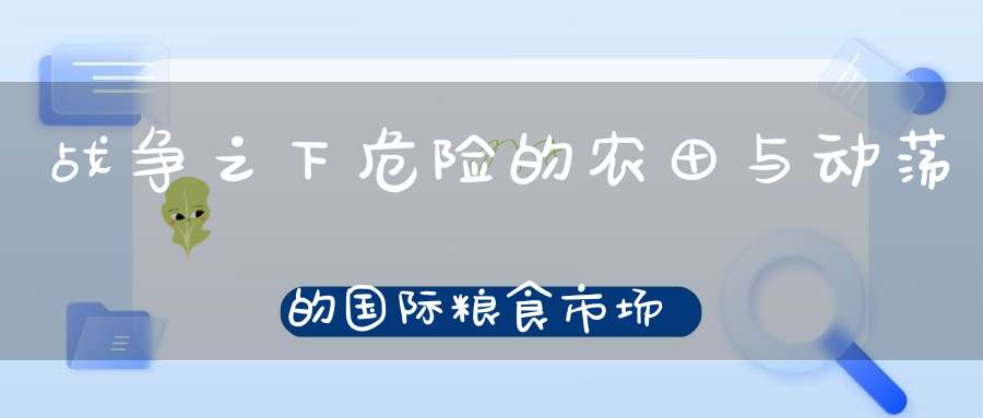 战争之下危险的农田与动荡的国际粮食市场