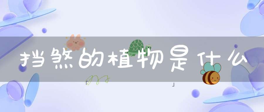 挡煞的植物是什么