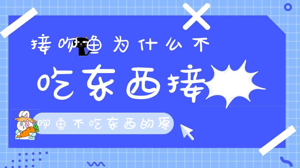 接吻鱼为什么不吃东西接吻鱼不吃东西的原因