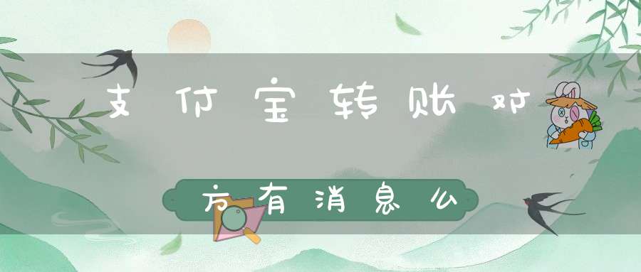 支付宝转账对方有消息么