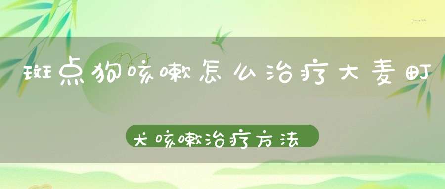 斑点狗咳嗽怎么治疗大麦町犬咳嗽治疗方法