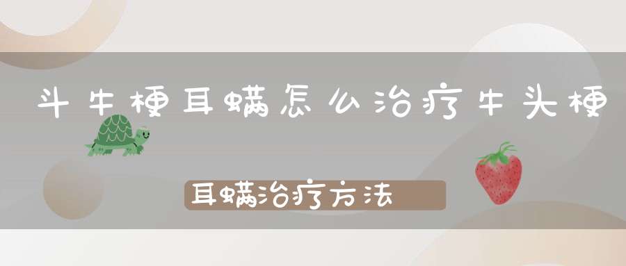 斗牛梗耳螨怎么治疗牛头梗耳螨治疗方法