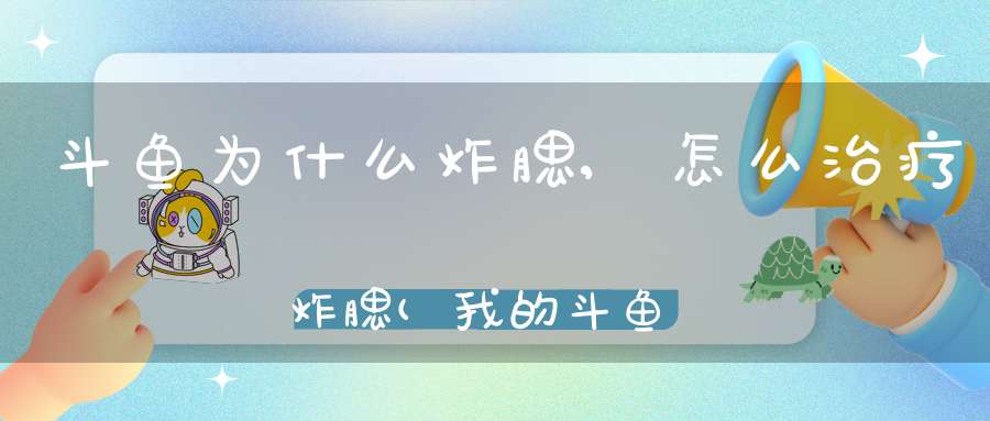 斗鱼为什么炸腮,怎么治疗炸腮(我的斗鱼不会鼓腮)