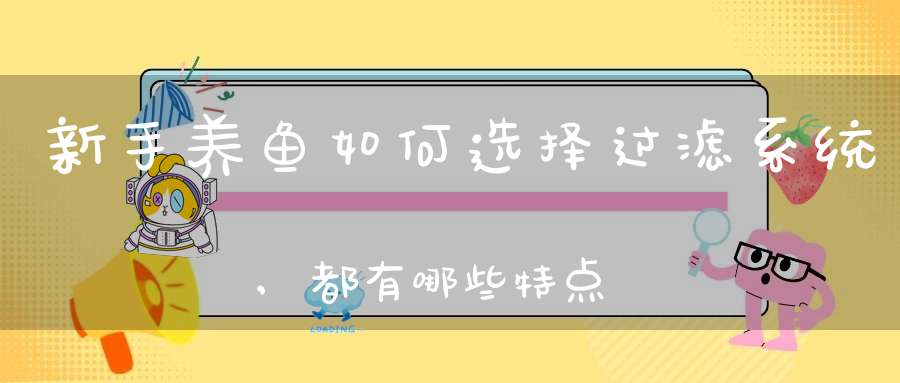 新手养鱼如何选择过滤系统,都有哪些特点