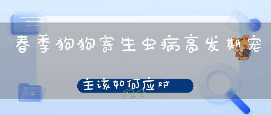 春季狗狗寄生虫病高发期宠主该如何应对