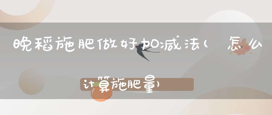 晚稻施肥做好加减法(怎么计算施肥量)