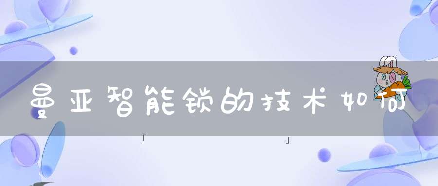 曼亚智能锁的技术如何