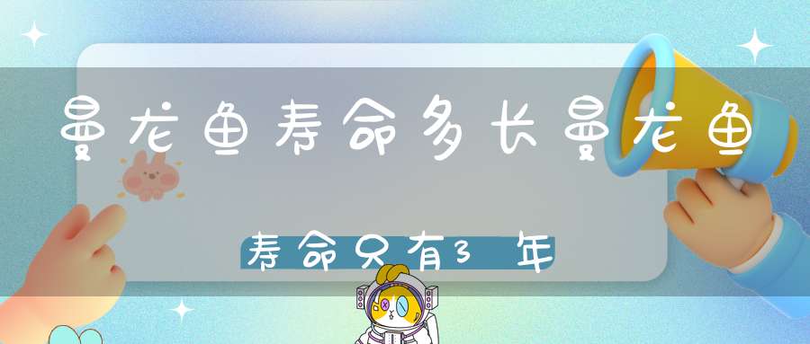 曼龙鱼寿命多长曼龙鱼寿命只有3年