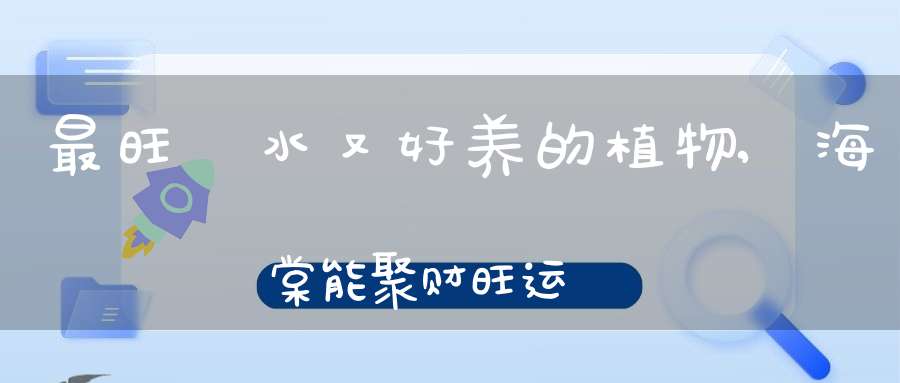 最旺風水又好养的植物,海棠能聚财旺运