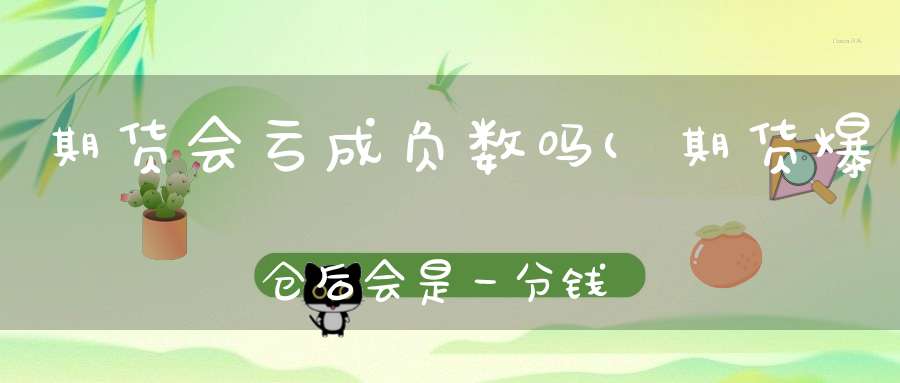 期货会亏成负数吗(期货爆仓后会是一分钱都没了吗)