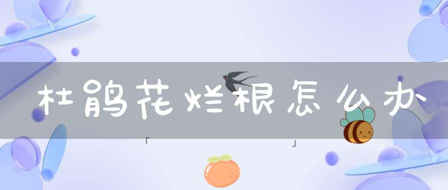 杜鹃花烂根怎么办