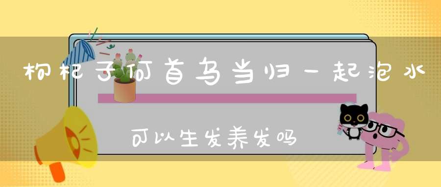 枸杞子何首乌当归一起泡水可以生发养发吗