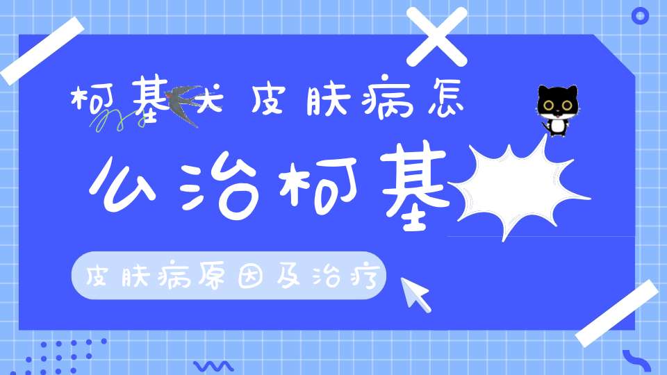 柯基犬皮肤病怎么治柯基皮肤病原因及治疗方法