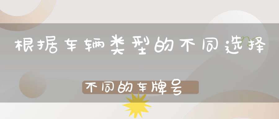 根据车辆类型的不同选择不同的车牌号