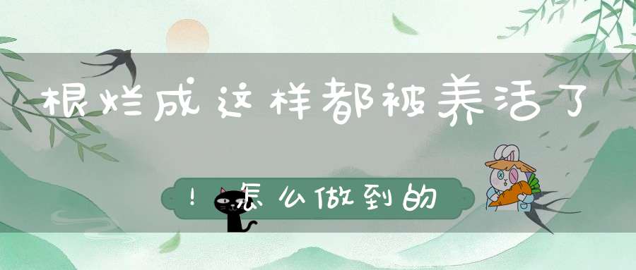 根烂成这样都被养活了！怎么做到的