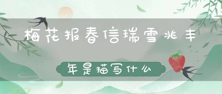 梅花报春信瑞雪兆丰年是描写什么