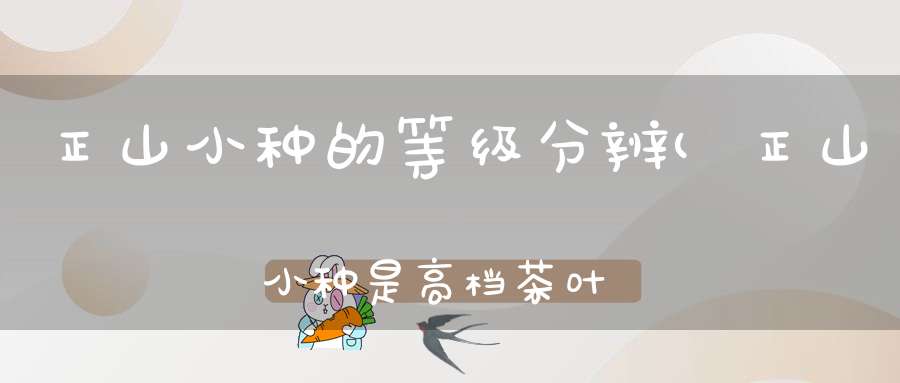 正山小种的等级分辨(正山小种是高档茶叶吗正山小种等级分化标准)