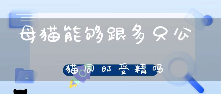 母猫能够跟多只公猫同时受精吗