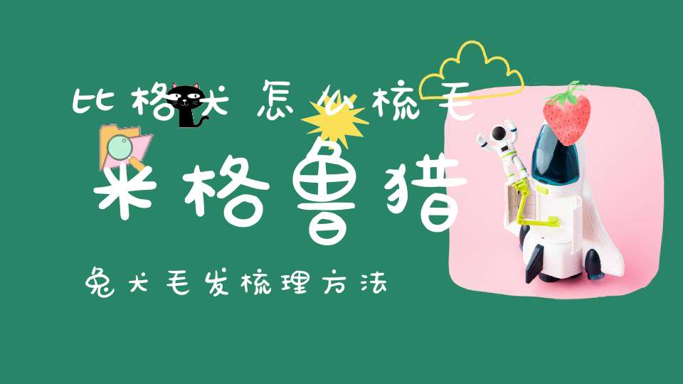 比格犬怎么梳毛米格鲁猎兔犬毛发梳理方法(比格犬的美容技巧有哪些)