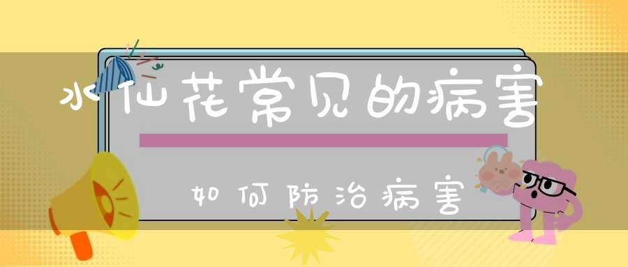 水仙花常见的病害如何防治病害