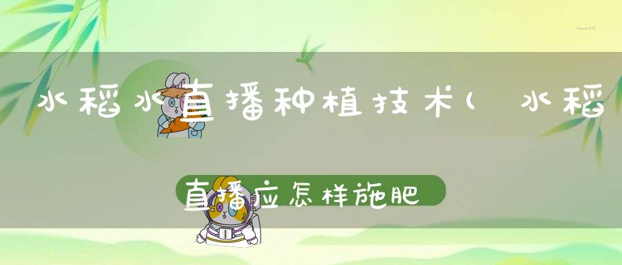 水稻水直播种植技术(水稻直播应怎样施肥)