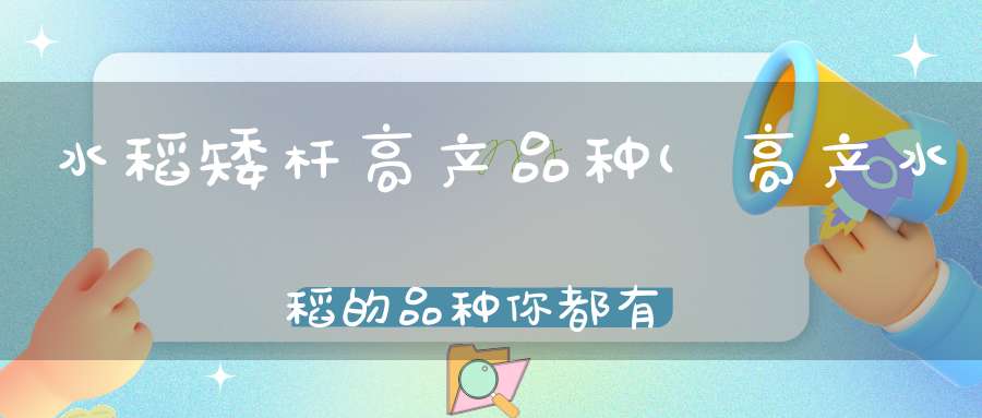 水稻矮杆高产品种(高产水稻的品种你都有哪些了解呢)