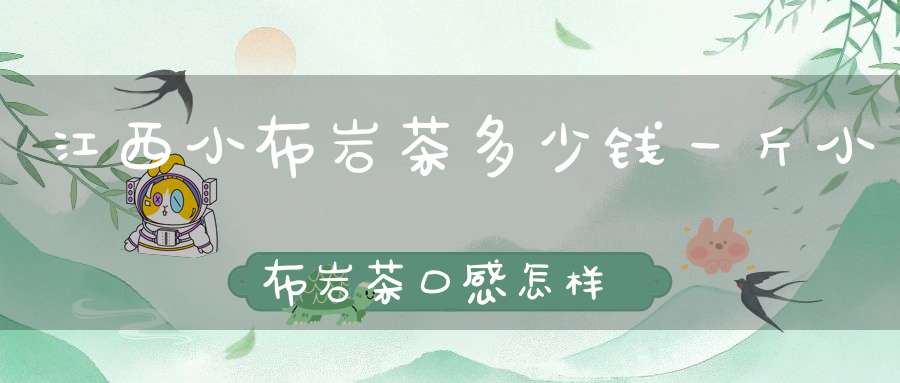 江西小布岩茶多少钱一斤小布岩茶口感怎样有什么特点