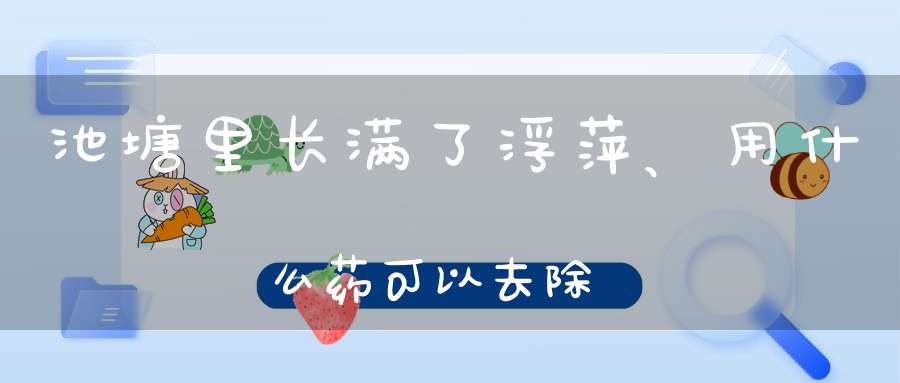 池塘里长满了浮萍、用什么药可以去除