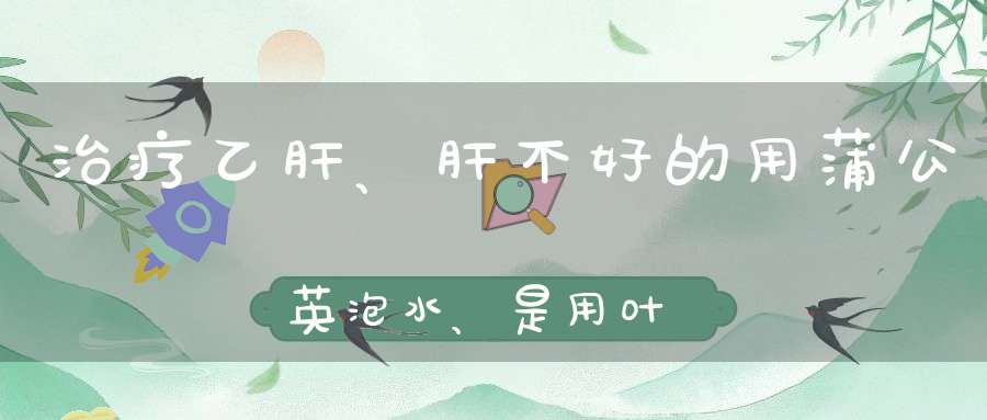 治疗乙肝、肝不好的用蒲公英泡水、是用叶、根还是花