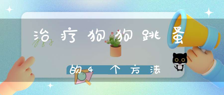 治疗狗狗跳蚤的4个方法