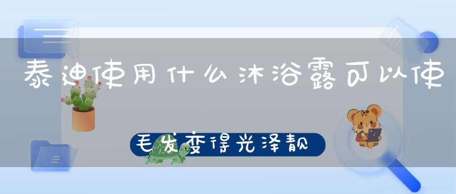 泰迪使用什么沐浴露可以使毛发变得光泽靓丽