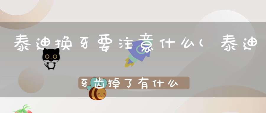 泰迪换牙要注意什么(泰迪牙齿掉了有什么影响)