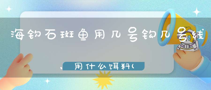 海钓石斑鱼用几号钩几号线,用什么饵料(请问石斑鱼海钓用什么鱼饵最好)