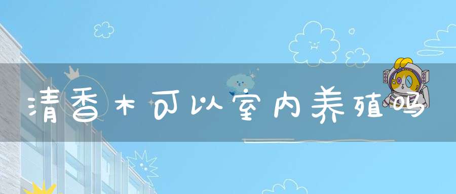 清香木可以室内养殖吗