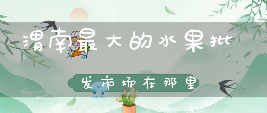 渭南最大的水果批发市场在那里