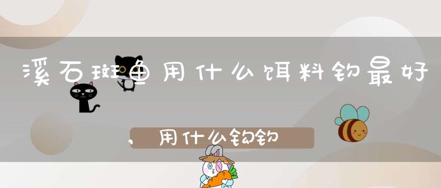 溪石斑鱼用什么饵料钓最好,用什么钩钓