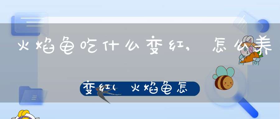 火焰龟吃什么变红,怎么养变红(火焰龟怎么养才能红发色吃什么龟粮)