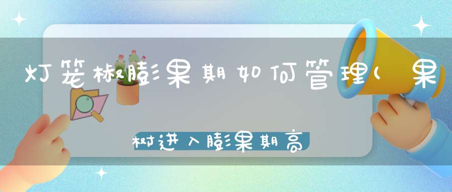 灯笼椒膨果期如何管理(果树进入膨果期高温干旱天气要如何进行管理)