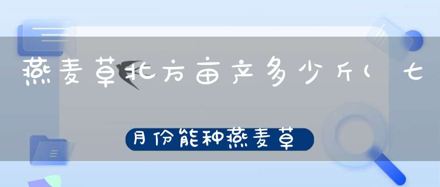 燕麦草北方亩产多少斤(七月份能种燕麦草吗)