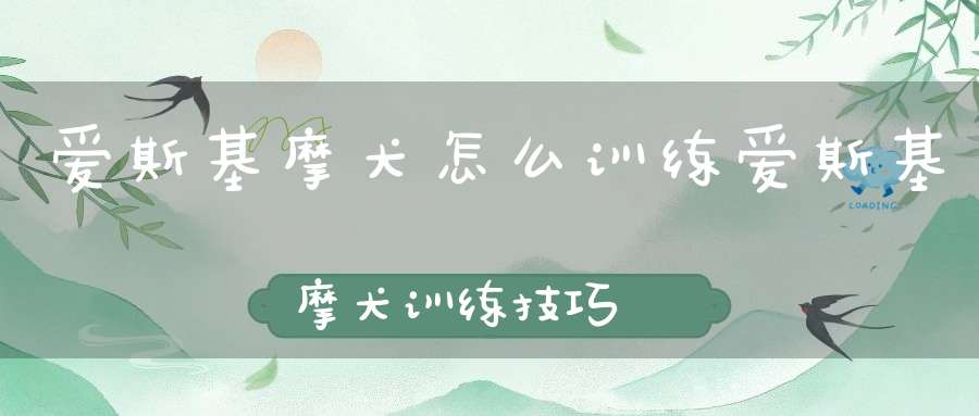 爱斯基摩犬怎么训练爱斯基摩犬训练技巧