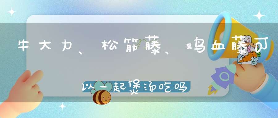 牛大力、松筋藤、鸡血藤可以一起煲汤吃吗