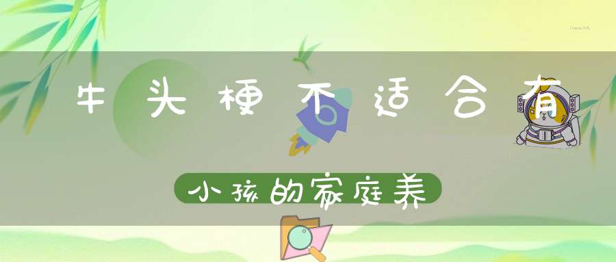 牛头梗不适合有小孩的家庭养