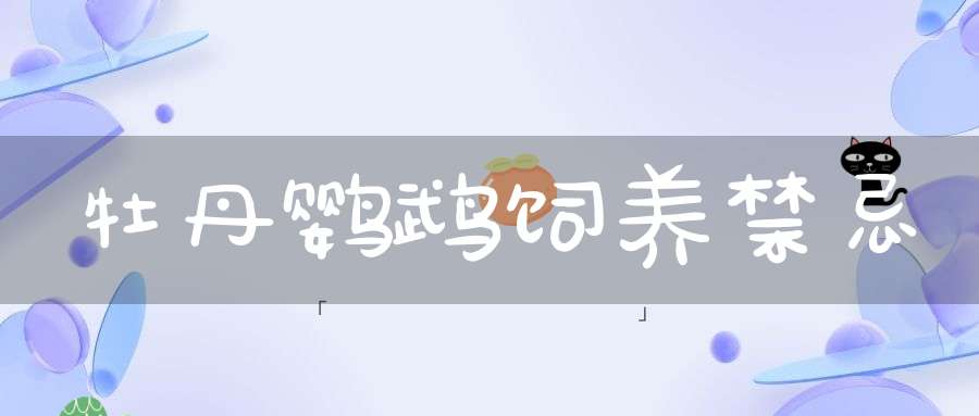 牡丹鹦鹉饲养禁忌