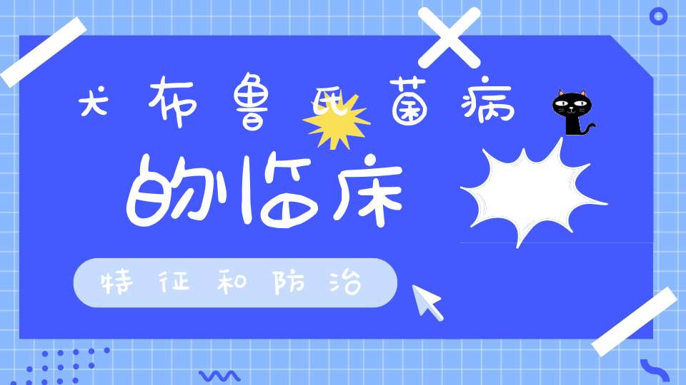 犬布鲁氏菌病的临床特征和防治