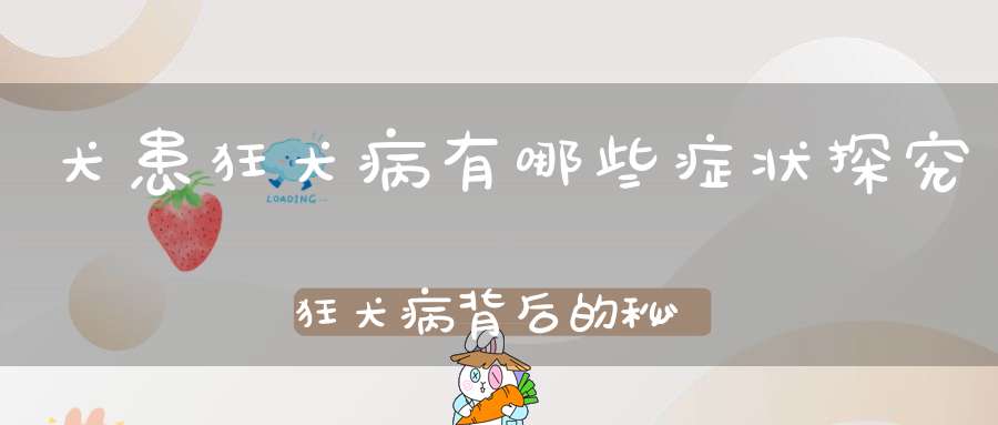 犬患狂犬病有哪些症状探究狂犬病背后的秘密