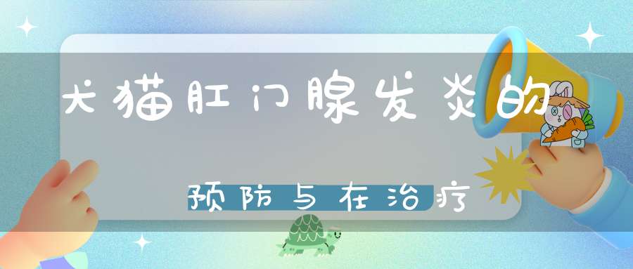 犬猫肛门腺发炎的预防与在治疗