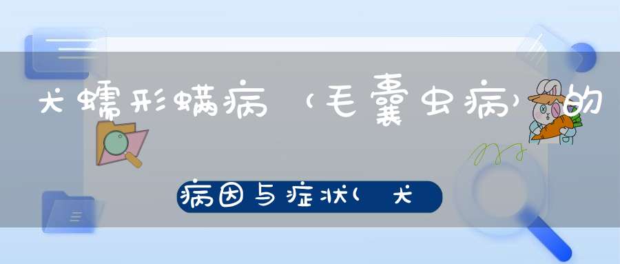 犬蠕形螨病（毛囊虫病）的病因与症状(犬猫蠕形螨病)