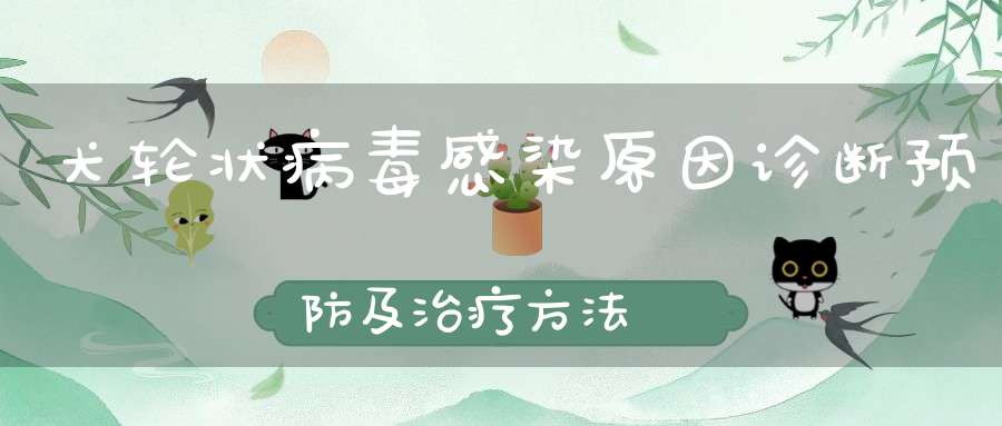 犬轮状病毒感染原因诊断预防及治疗方法